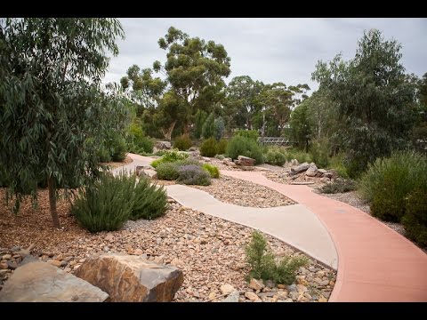 Gawler Youth Recreational and Open Space Precinct