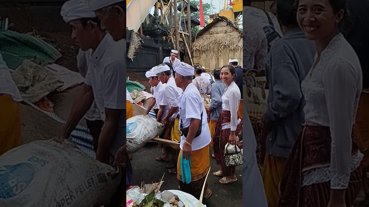 Balinese Gotong Royong Tradition 🤝