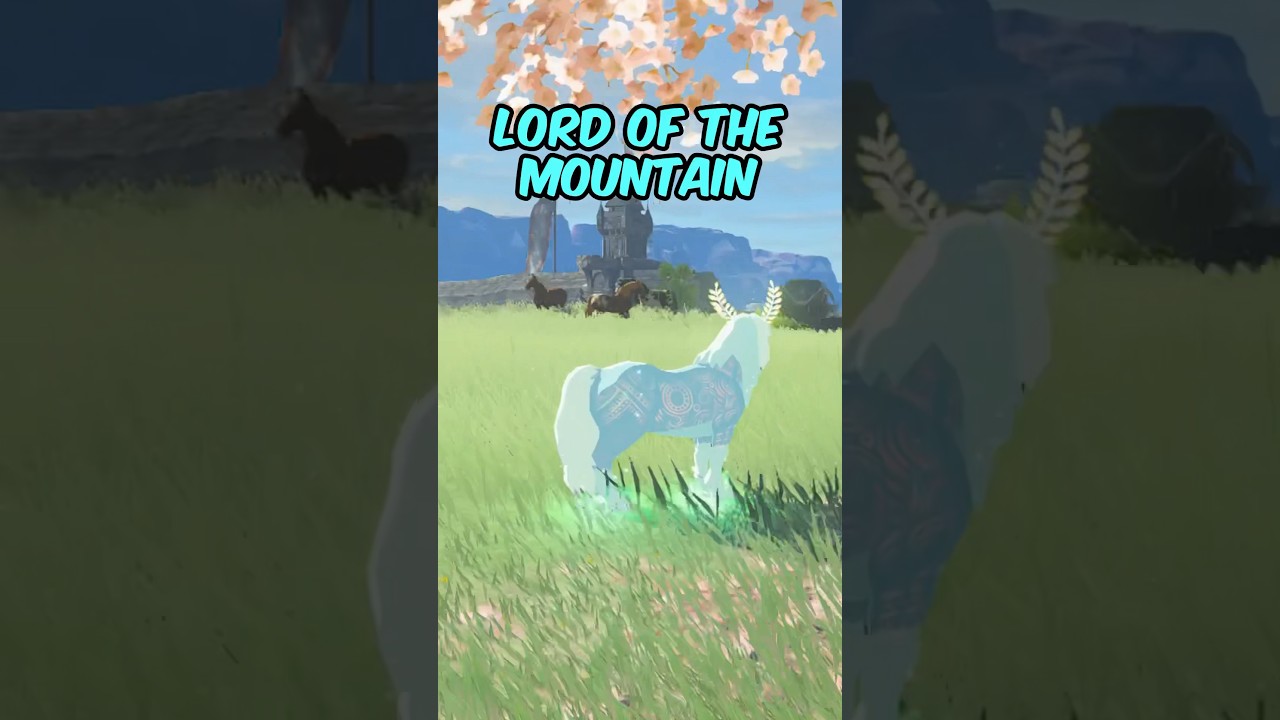 Secrets & Hidden Tips You Didn’t Know in Tears of the Kingdom! 🤯 (Part 1)