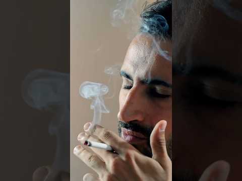 THE DOCUMENTARY | 11/11 🤝 #reels  #habbat #maroc