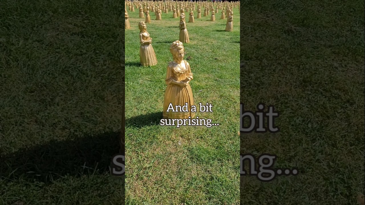 Discover the Charm of Celle: A Must-Visit German City ✨