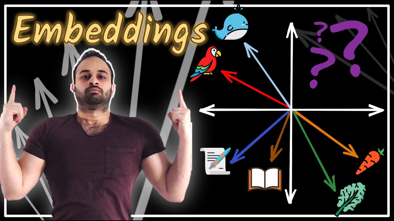 Common Misconceptions About Embeddings 🤔