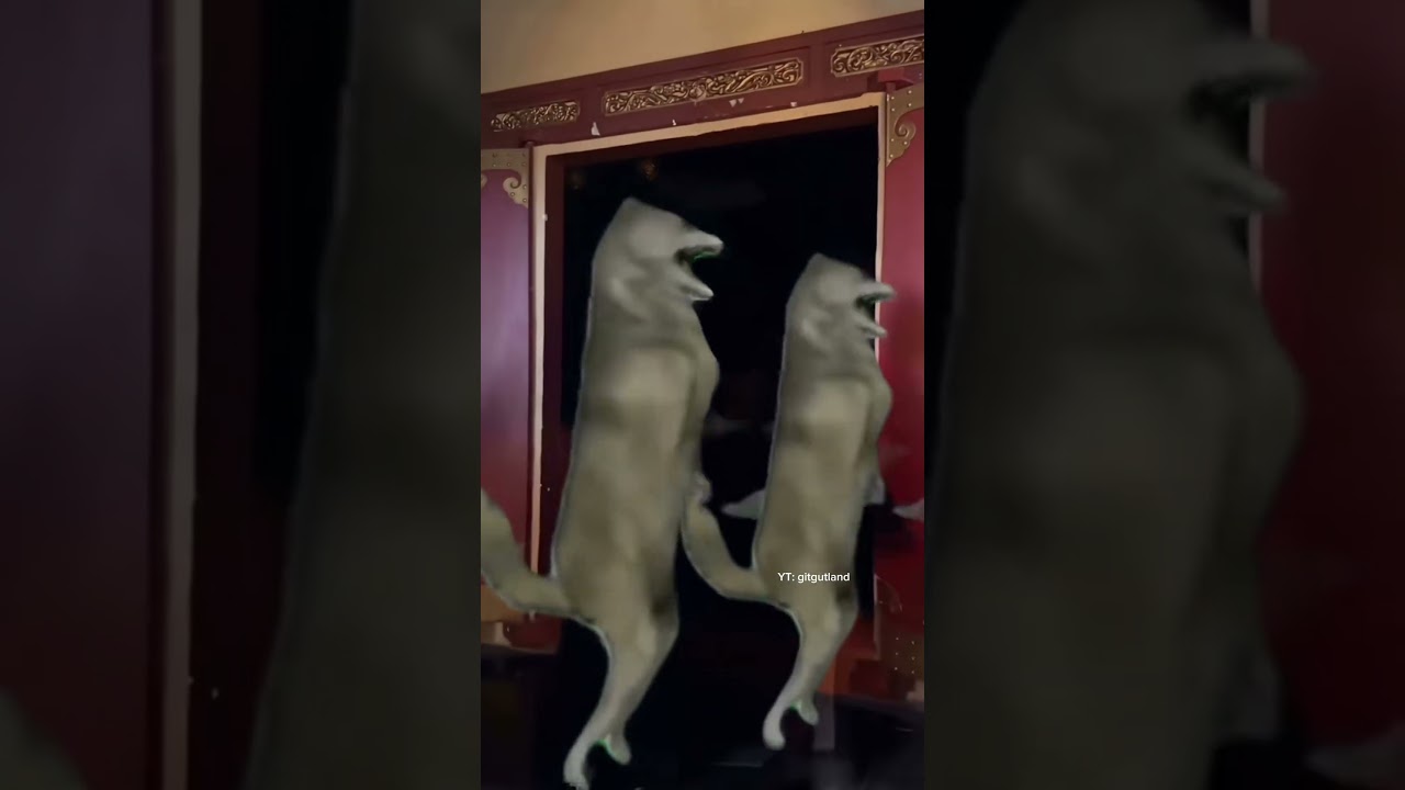 Zhao Muyan & Zheng Feng's 2025 Short Drama 🎬