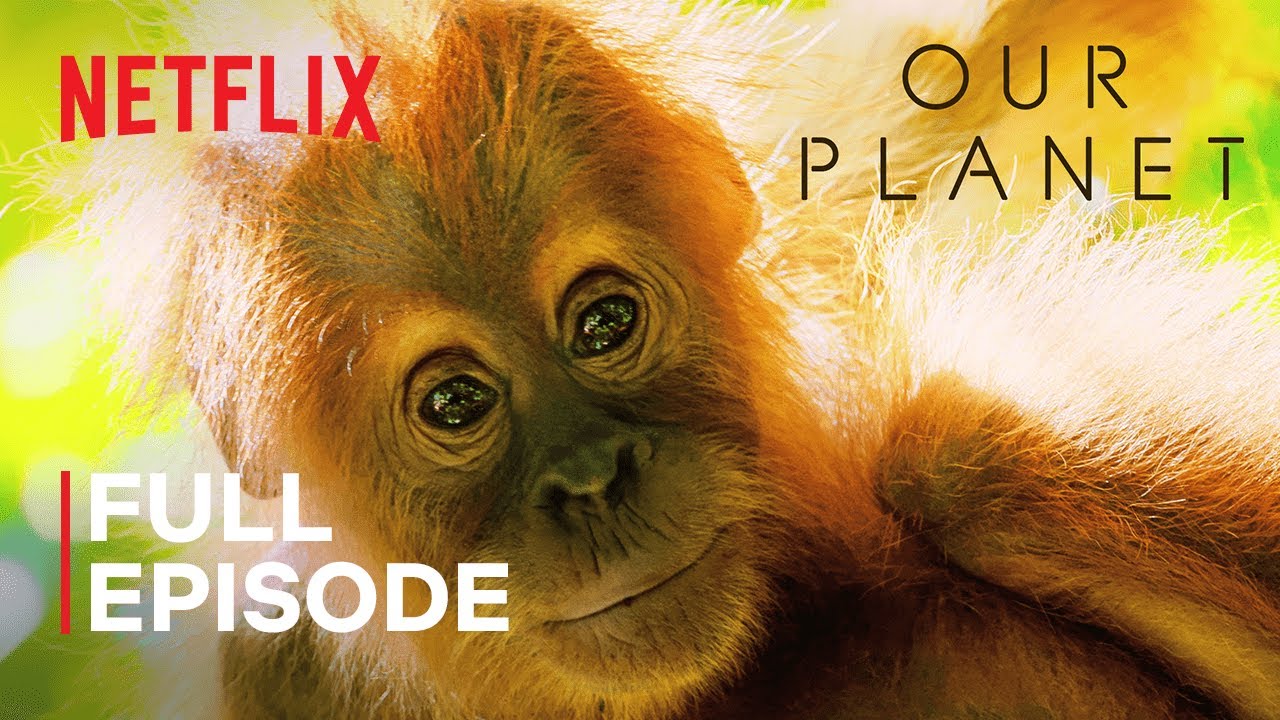 Our Planet | Jungles β Witness Nature's Wonders & Climate Impact πΏ (Full Episode)