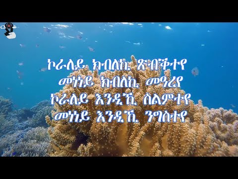 Kaleab Teweldemedhin - koraley (Lyrics Video)