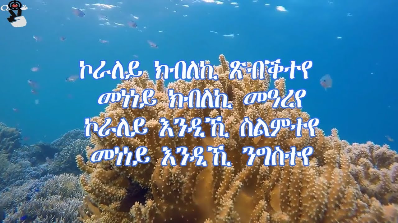 Kaleab Teweldemedhin - Koraley Lyrics Video 🎶