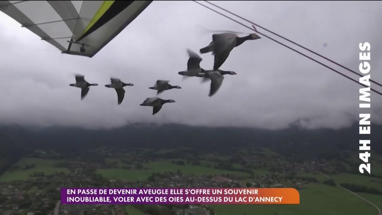 Charales Magnien Analyse le Duel Mélenchon/Zemmour sur RMC 🗣️