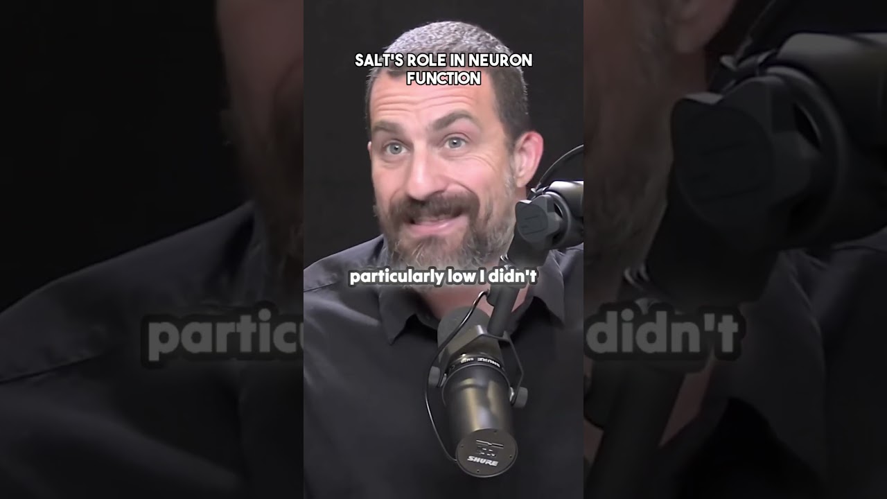 Neurons & Salt: How Salt Influences Brain Function 🧠