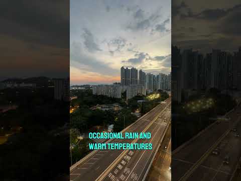 Singapore Weather Update NOVEMBER☔️ 🌦️ 🌞 2024 #singapore #weathernews #shorts #treanding