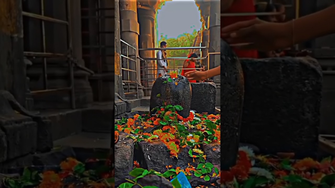 Mahadev WhatsApp Status 🌺