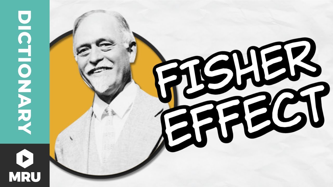 Understanding the Fisher Effect 📈