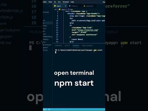 how to run react app using terminal and npm