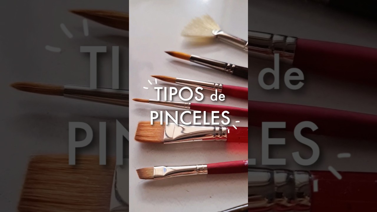 Diferentes tipos de pinceles  y sus usos 🖌✨️ | #shorts #art #pintura #painting #arttutorial