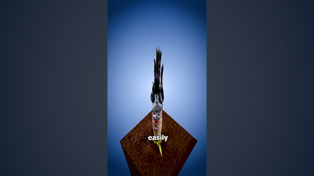 Uncover the Shocking Truth Behind Bamboo Torture π±