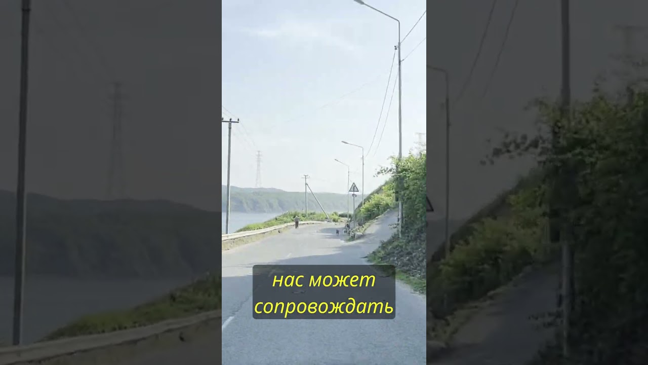 Почему Сочи — курорт, а Владивосток — нет 🌊