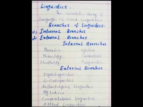 Branches of linguistics