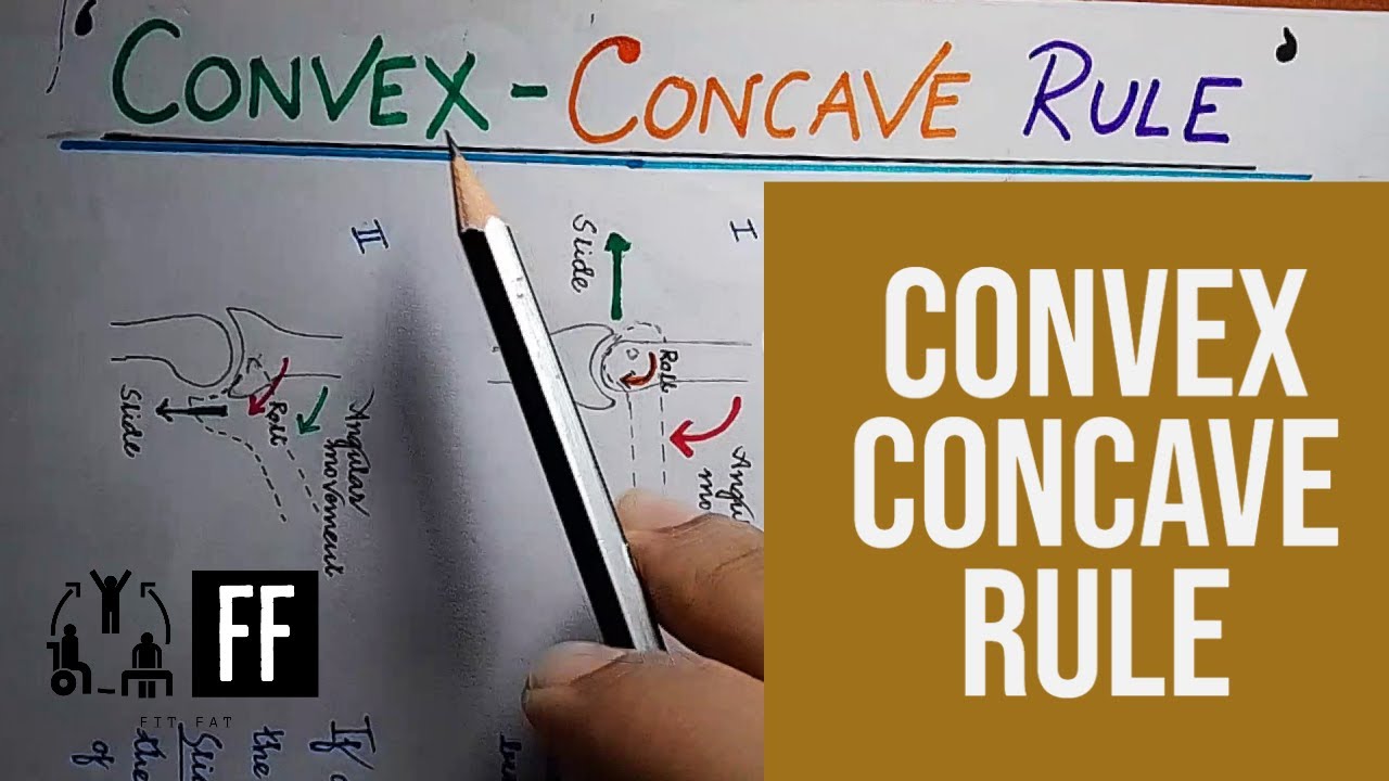 Convex-Concave Rule & Joint Arthrokinematics 🦴