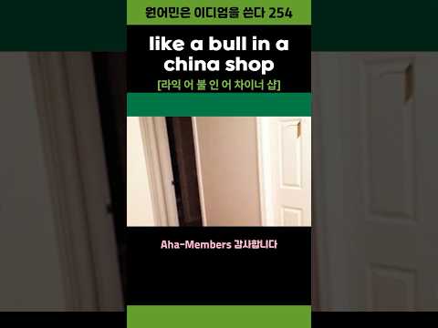 like a bull in a china shop #영어이디엄 #shorts