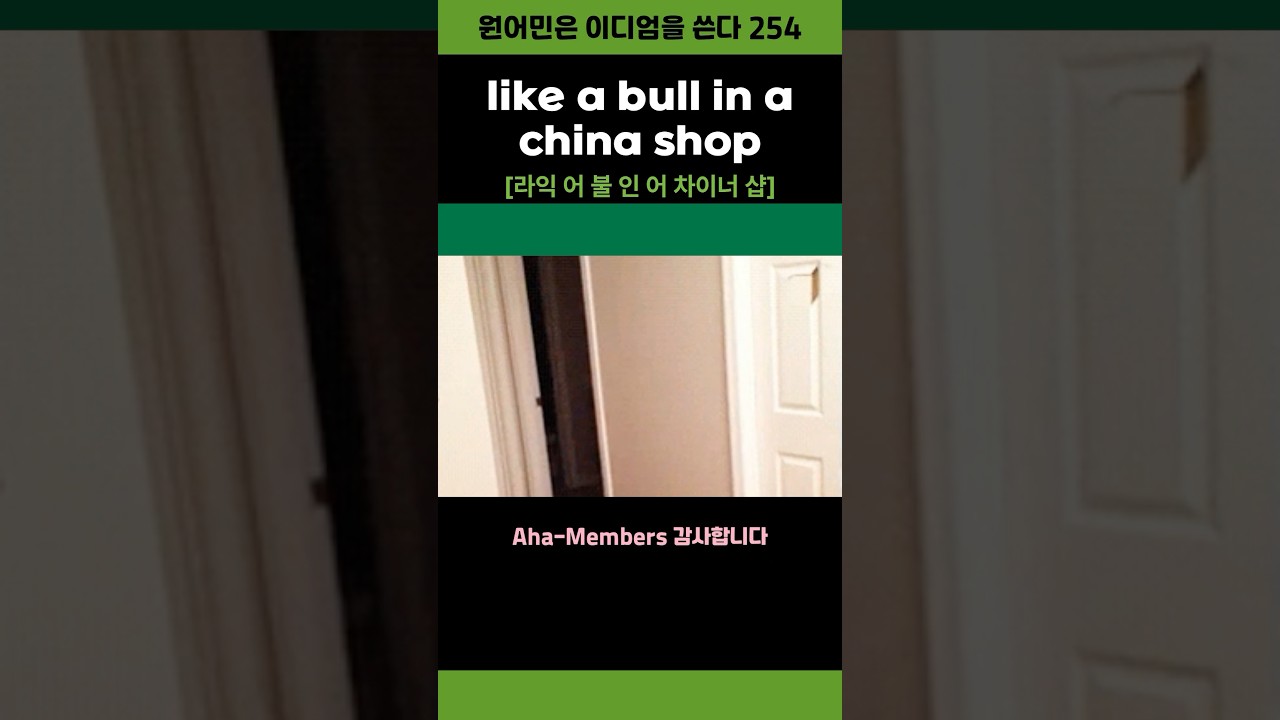 Like a Bull in a China Shop: English Idiom Explained #Shorts