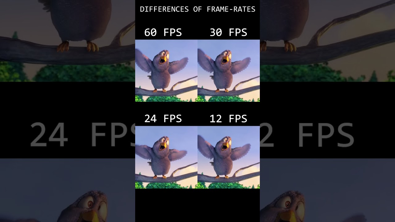 FPS Explained: 60, 30, 24, 12 FPS Differences