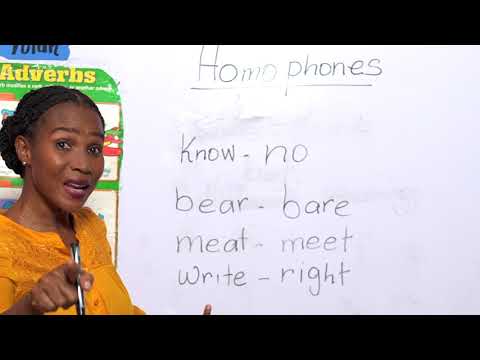 Grade 4 Homophones in English 📚