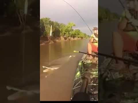 Огромная щука на спиннинг #shorts