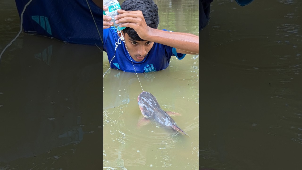 Amazing Fish Trap System 🎣