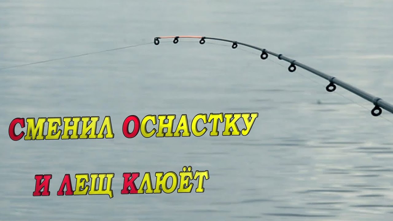 ЛЕЩИ ГИГАНТЫ НА ФИДЕР!РЫБАЛКА на ЛЕЩА В ИЮНЕ 2024 и оснастка на леща