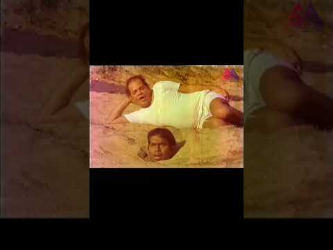 Jandhyala || Brahmanandam Hilarious Comedy Scenes || Telugu Movie Scene || #GangothriMovies