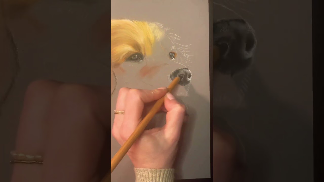 Drawing a Dog Nose Using Only 3 Faber-Castell Pitt Pastel Pencils