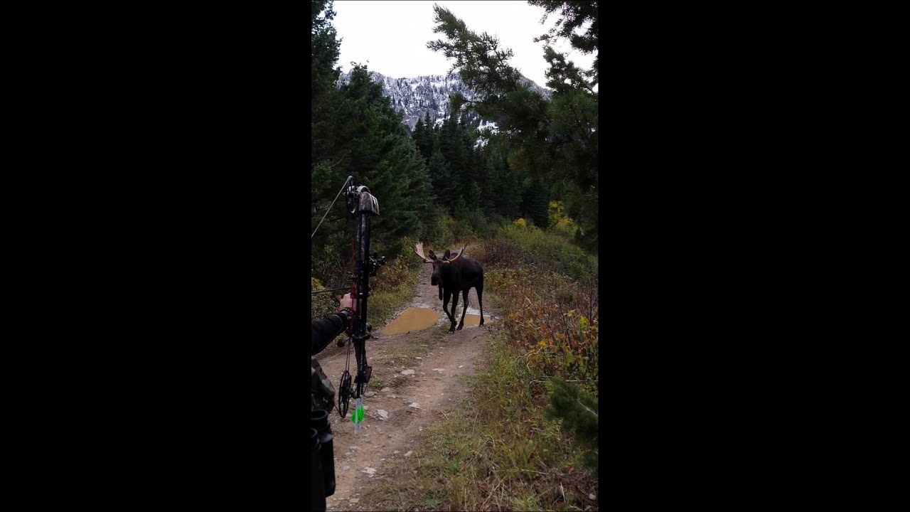 Montana Shiras Scores an Amazing 3-Yard Touchdown 🏈