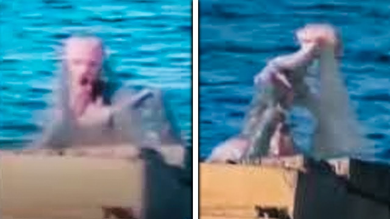 Scientists Confirm Real Mermaid Sightings 🌊