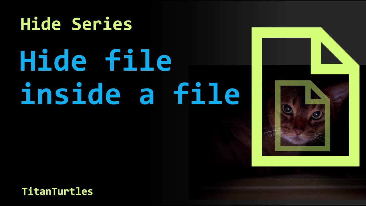 Master Steganography: Hide and Reveal Secrets in Files 🔐