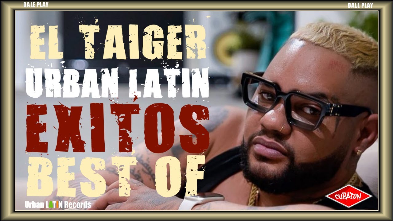 El Taiger MIX - Best of 2025 🎶