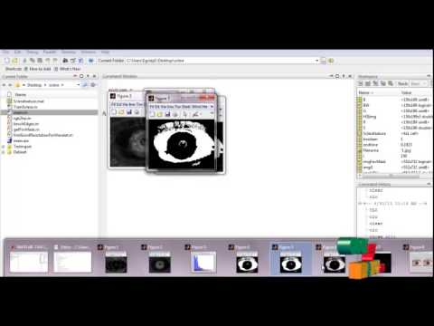 Final Year Projects | A New Human Identification Method: Sclera Recognition
