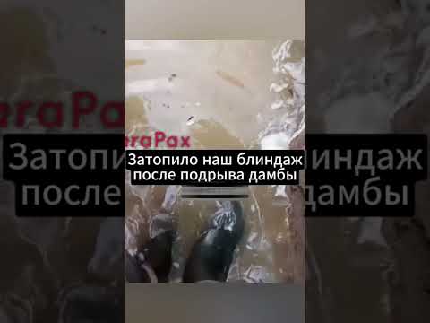 Вода топит блиндажи ВС РФ после разрушения Белгородской дамбы