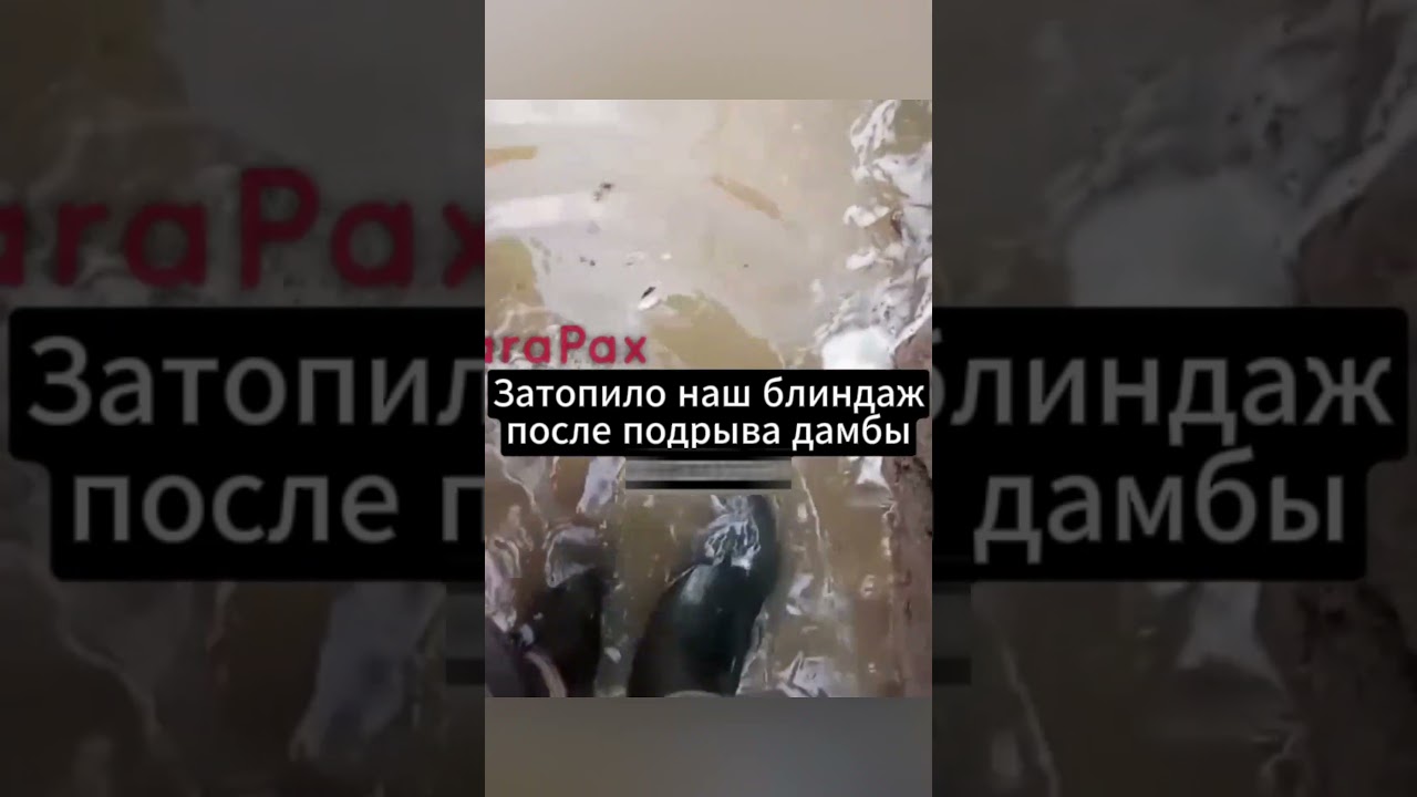 Критическая ситуация: вода заливает блиндажи ВС РФ после разрушения дамбы в Белгороде 🌊