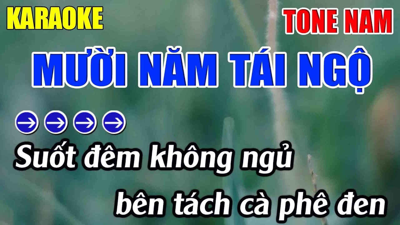 Mười Năm Tái Ngộ Karaoke - Beat Mới 2026 🎤