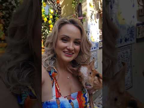 din nou acasă 🐷#amaliabellantoni #dgaspc #bucuresti #romania