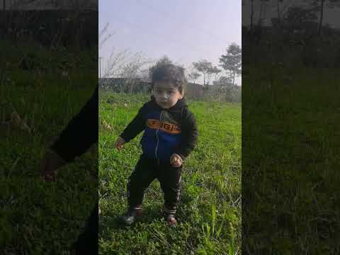 kids running in green fields #shorts #twins