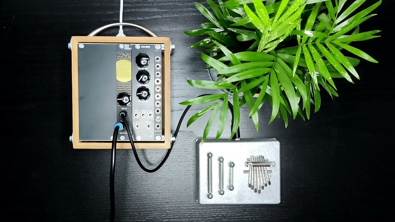 Music Thing Modular Noise Box with Mikrophonie 🎶