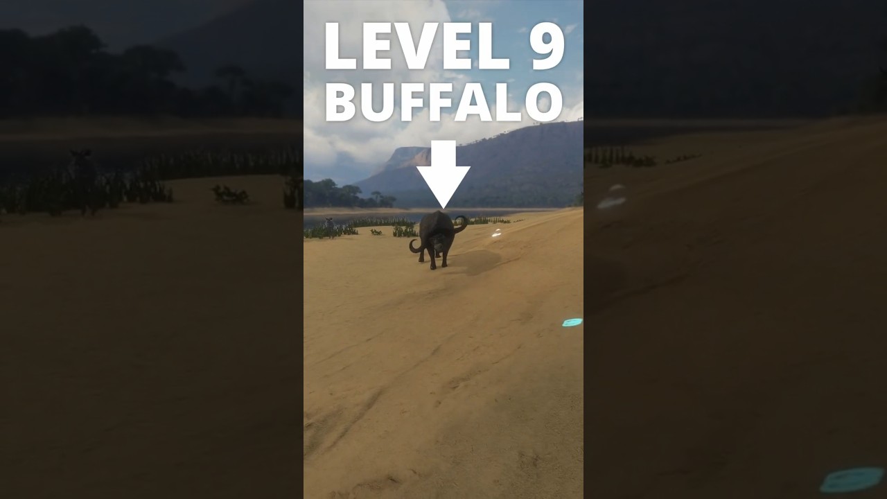 Hunting a Max Level Buffalo Made Easy 🏹