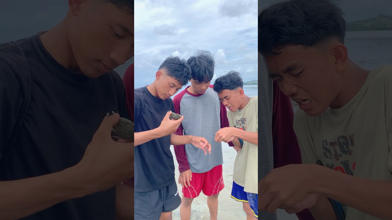 Lucu Banget! Cari Kepiting di Pantai, Malah Kena Capit 😂