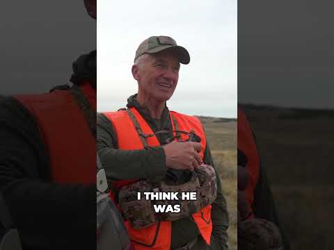 Hunting in CONVERSE ALL-STARS #hunting #freshtracks