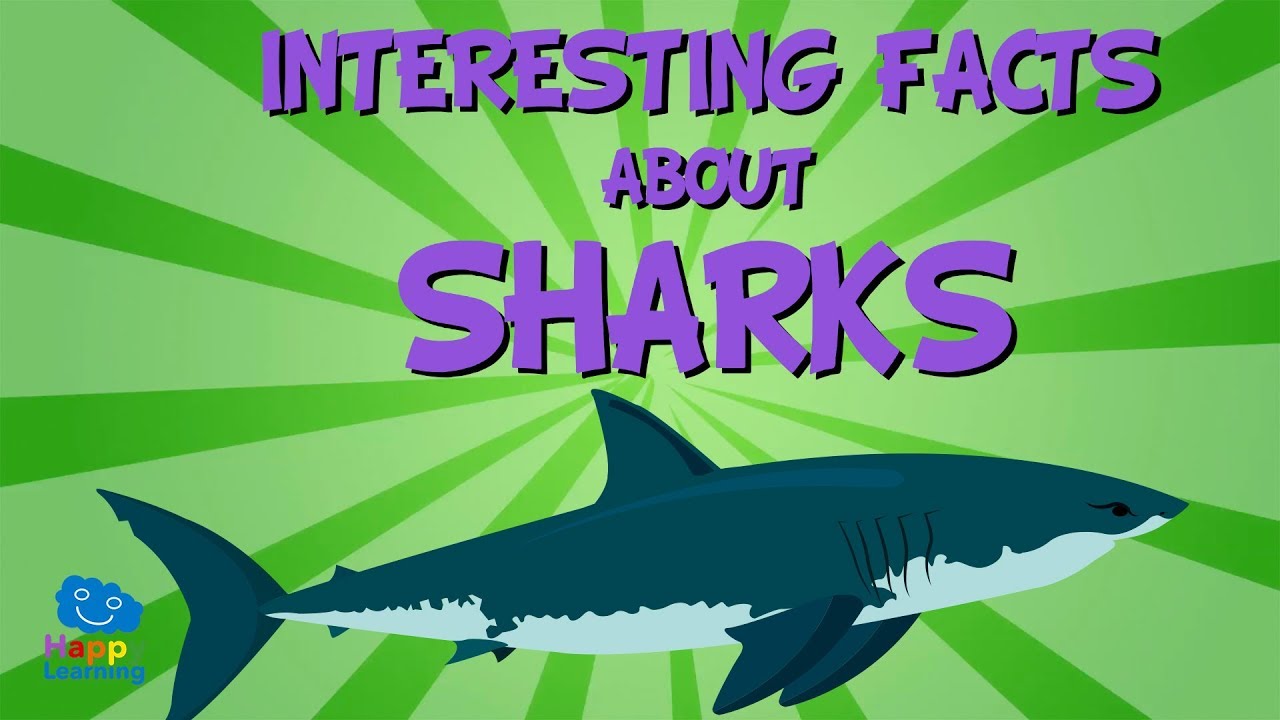 Fascinating Shark Facts for Kids 🦈
