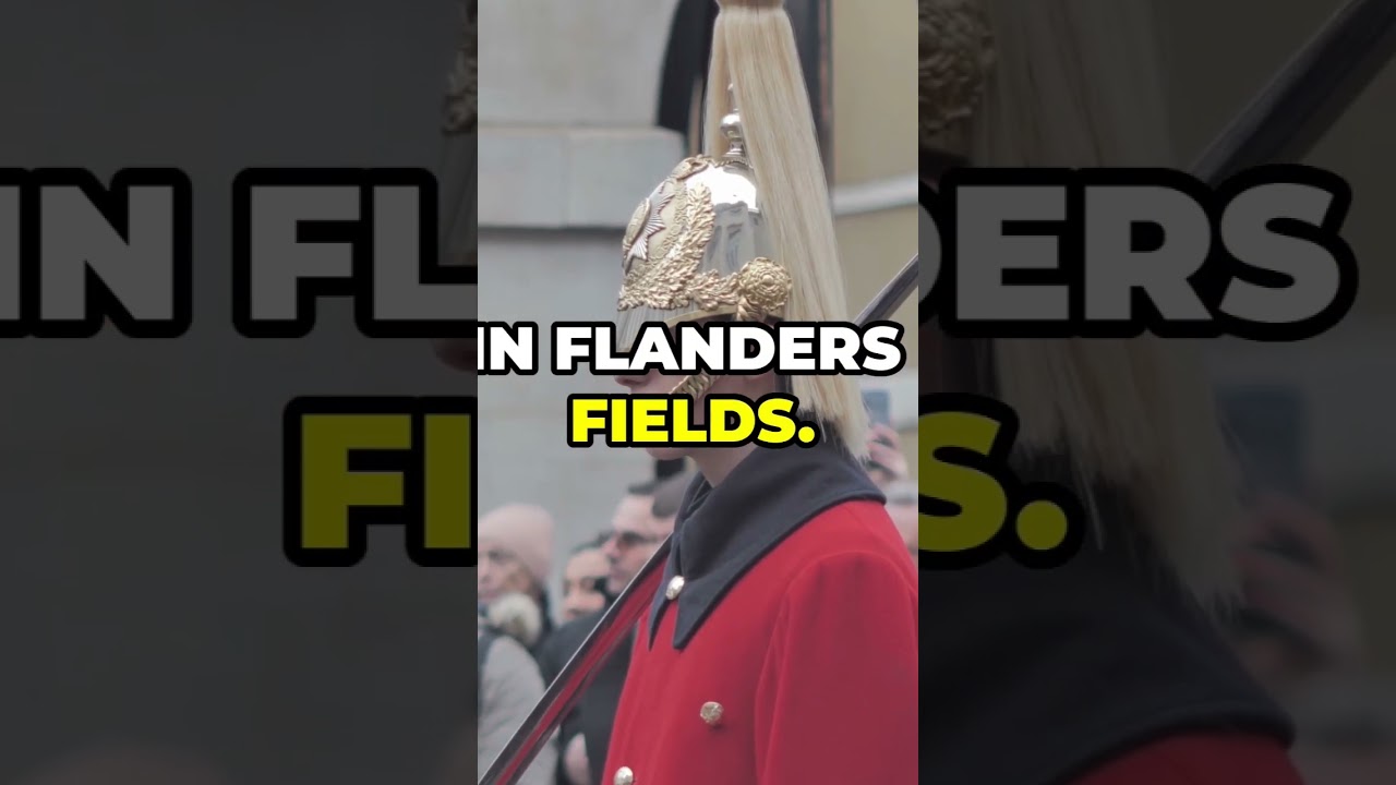 Remembrance Day Facts ๐ฌ๐ง