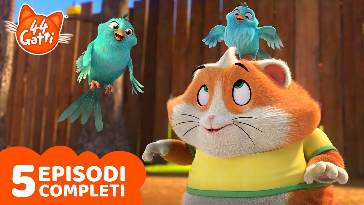 44 Gatti | Top 5 Polpetta | Episodi Completi 🎬