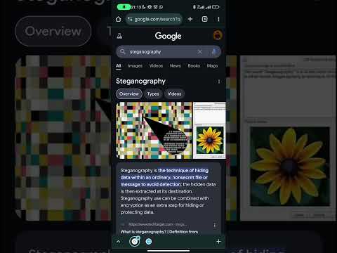 Hiding Secret Information In Plain Sight: The Art of Steganography