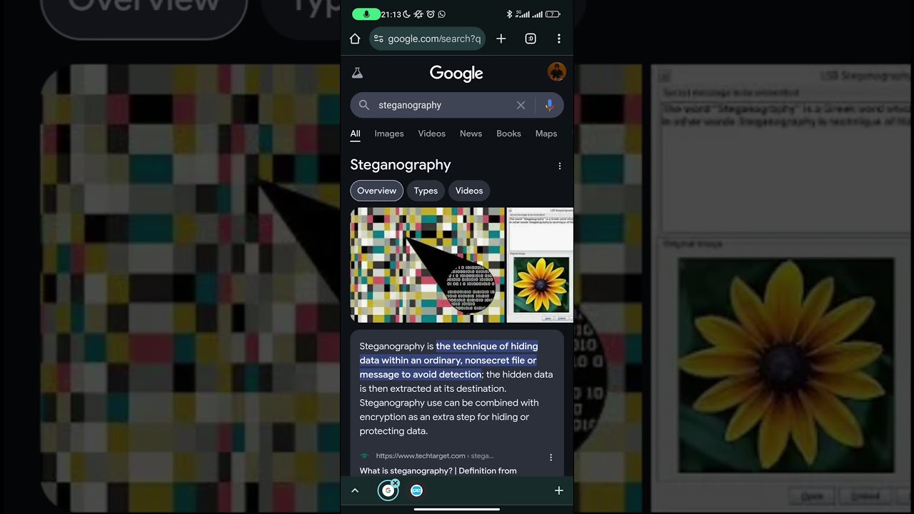 Mastering Steganography: Concealing Secrets in Plain Sight 🔍