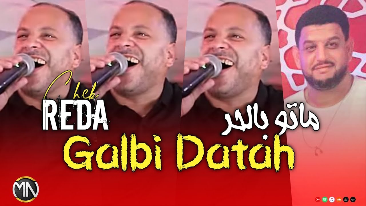 Cheb Reda 2024 Galbi Datah - Exclusive Live Music 🎶